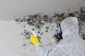 Environmental Consulting for Mold Prevention in Taft, CA